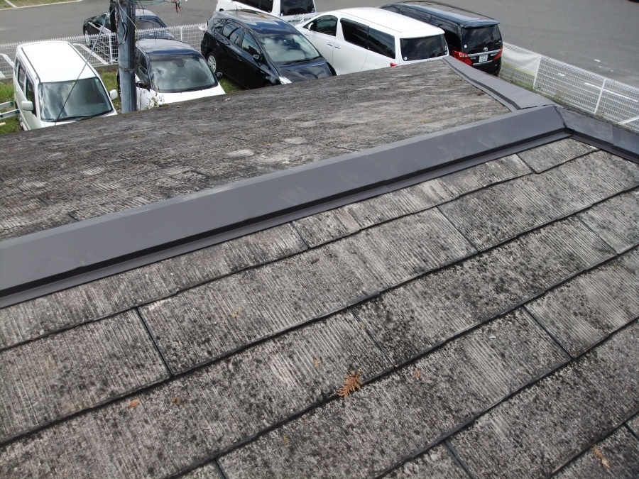 和歌山市の笠木交換完了！