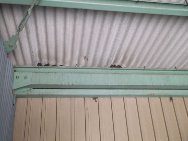 和歌山市でガレージの波型スレートをシーリングで補修すると雨漏りが止まりました