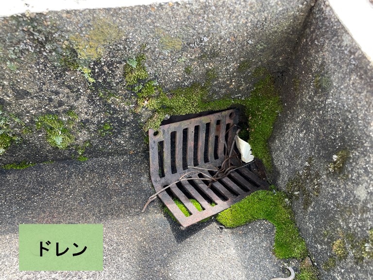 和歌山市でドレン周りにもコケ