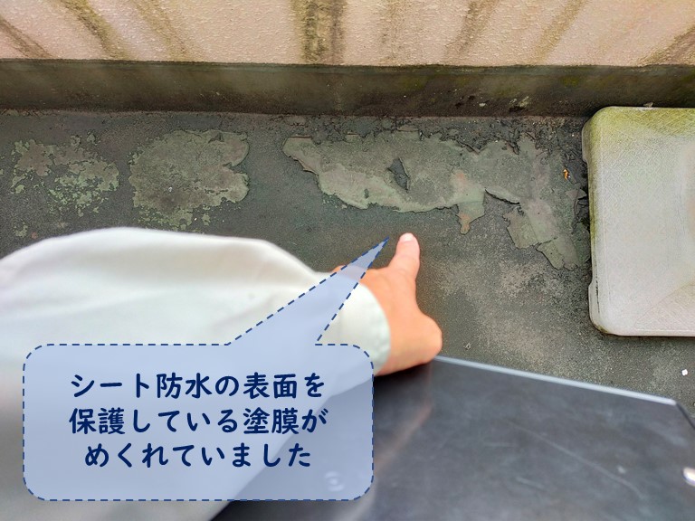 和歌山市でバルコニーの床が劣化しめくれていました