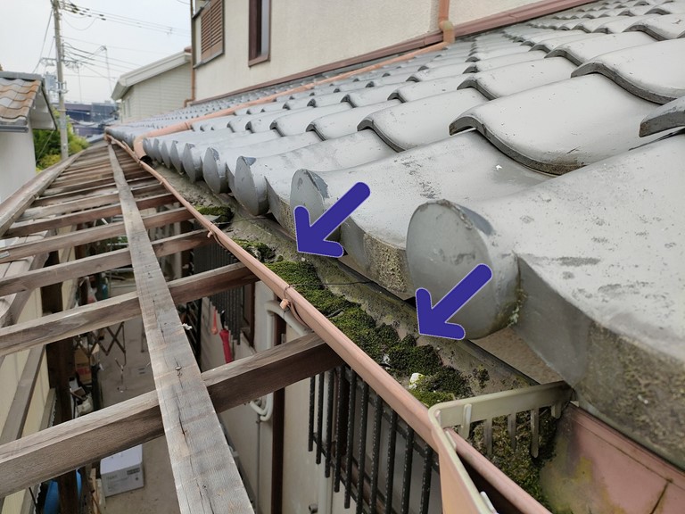 和歌山市で下屋に雨樋に泥が溜まって詰まっていました