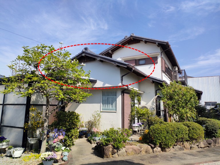 和歌山市で下屋の調査を行いました