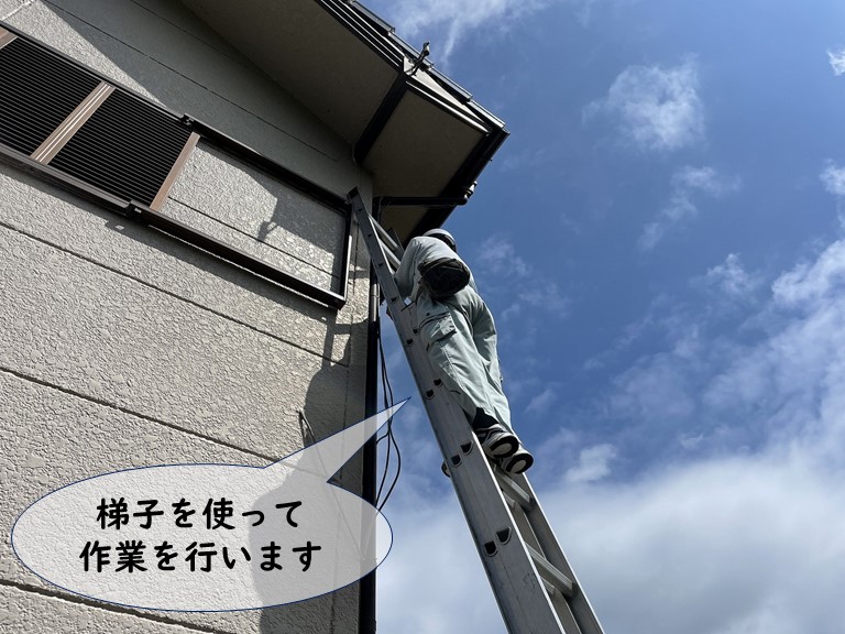 和歌山市で梯子を使って作業を行います