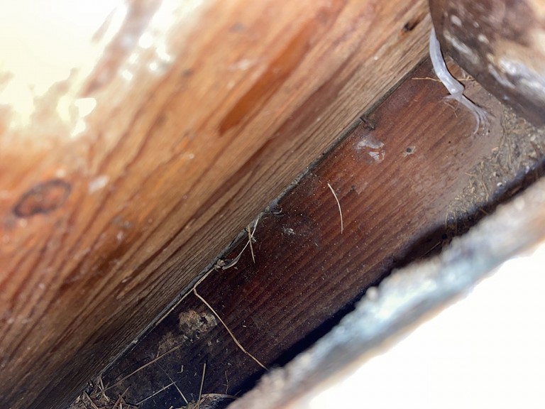 和歌山市で軒天にある鳥の巣を撤去してから通気口を設置します