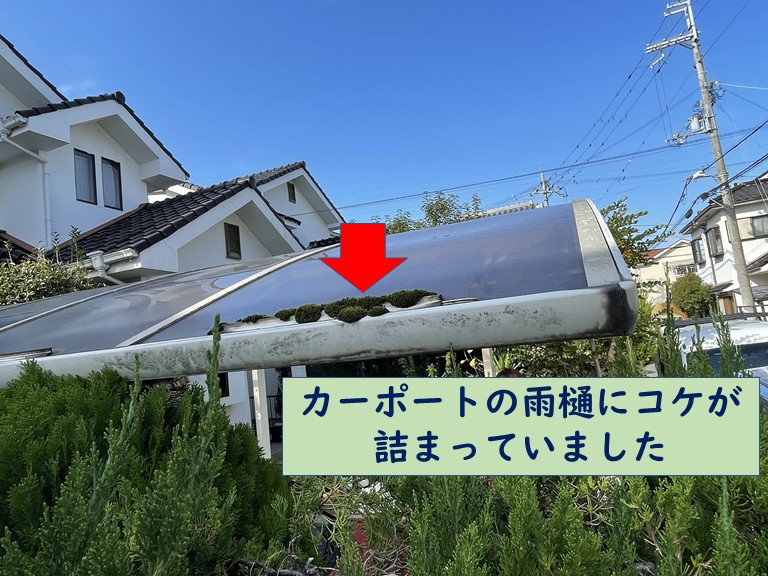 和歌山市で軒樋にコケが詰まっていました