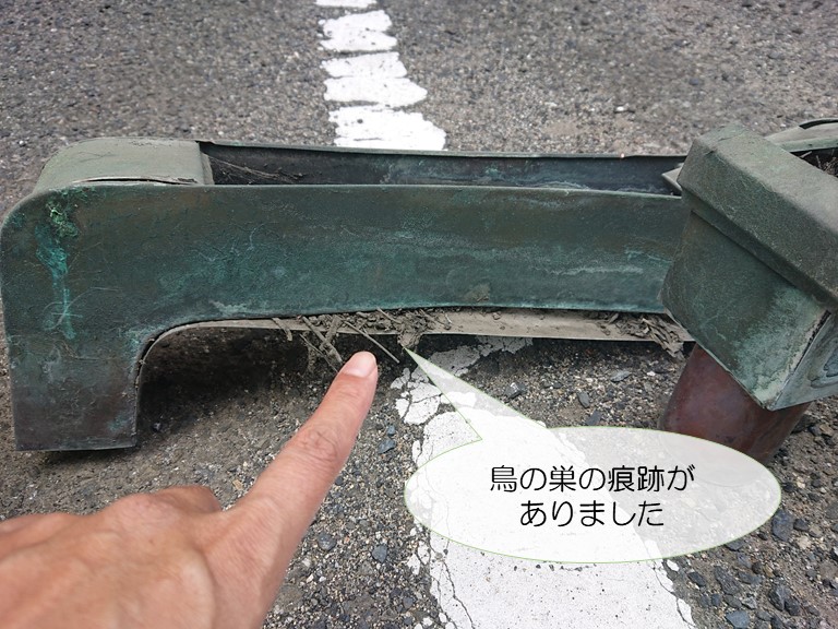 和歌山市で這い樋の中に鳥の巣の痕跡があった