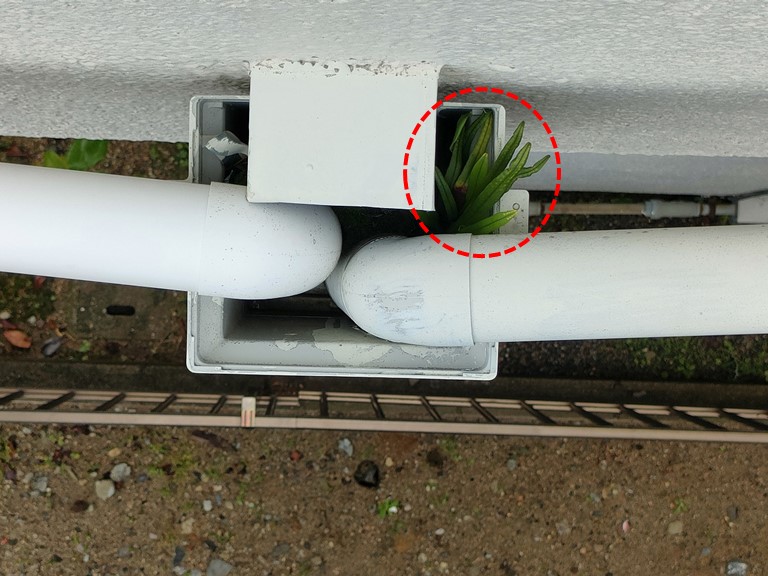 和歌山市で集水器を清掃しました