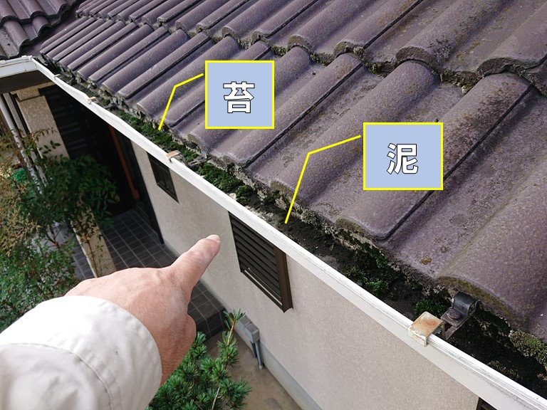 和歌山市で雨樋にコケや泥が溜まっていたので掃除しました