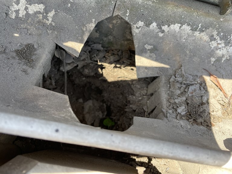 和歌山市で雨樋の落ち口を清掃していきます