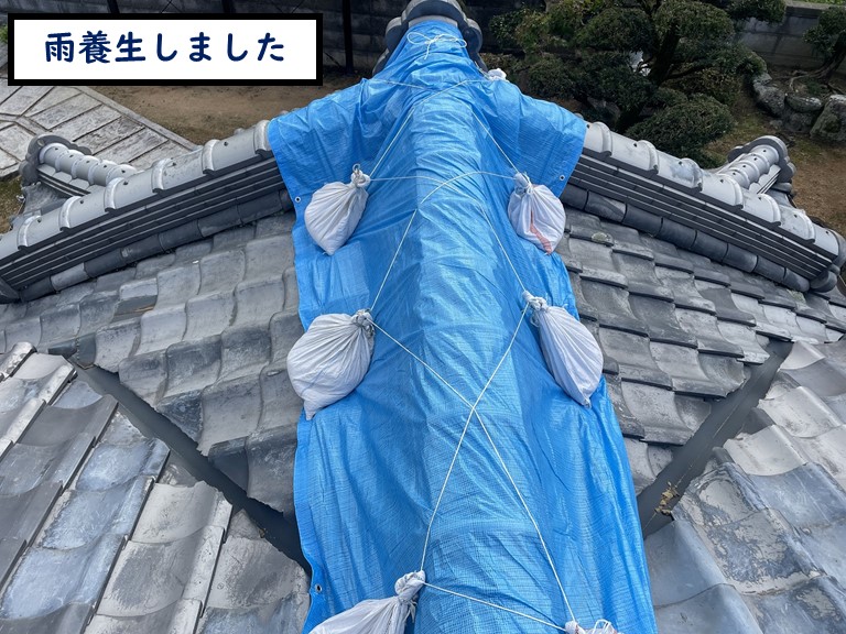 和歌山市で雨養生しました