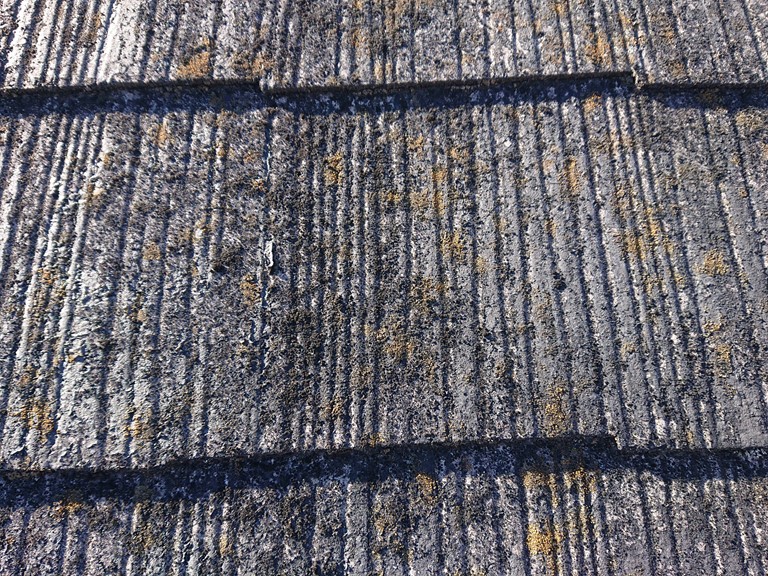 和歌山市のスレート屋根を調査すると、苔や藻が生えていました