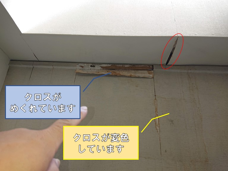 和歌山市の雨漏りでクロスがめくれ、茶色く変色していました