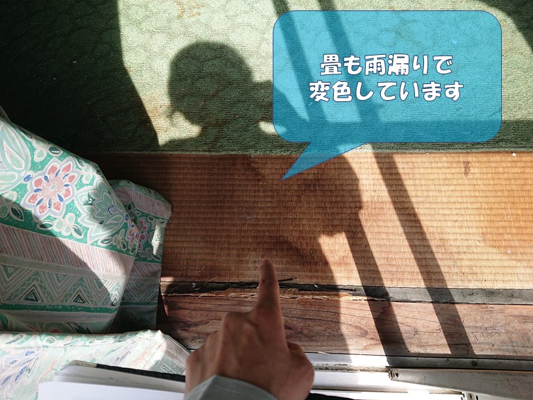 岩出市で2階和室の畳が雨水で変色・腐食していました