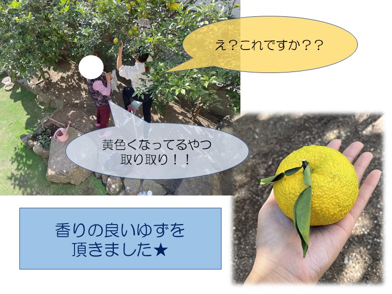 岩出市でお客様にゆずを頂きました