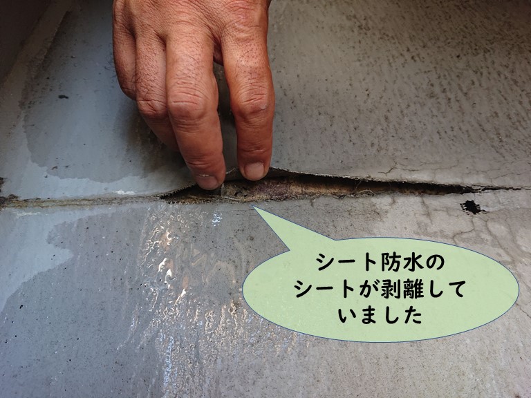 岩出市でシート防水のシートが剥離