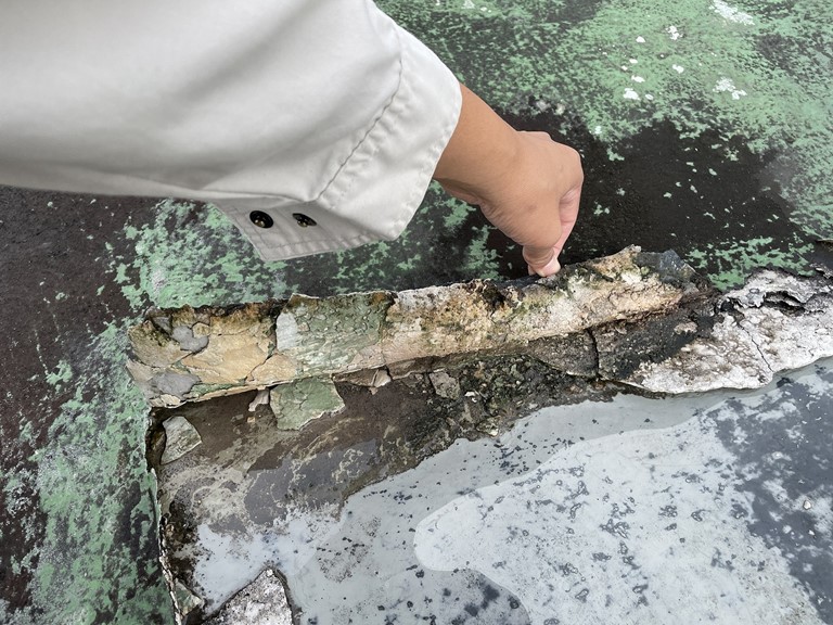 岩出市でシート防水の中にまで雨水が侵入