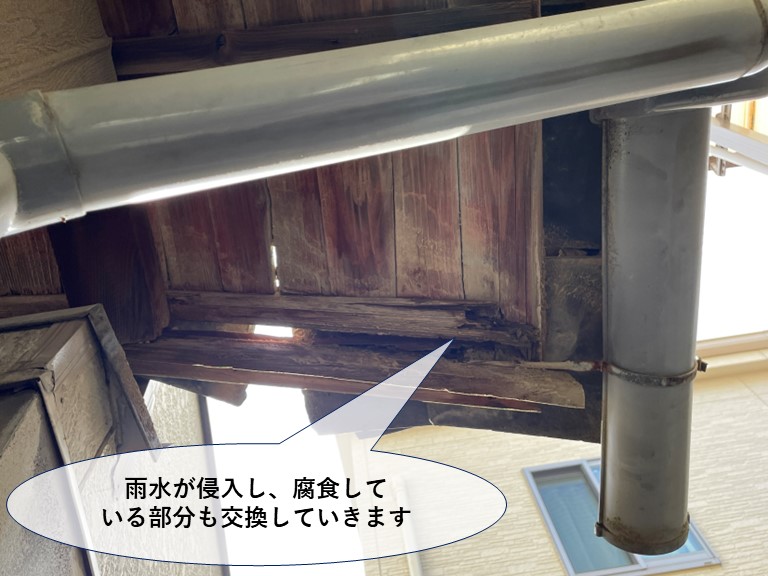 岩出市でズレた瓦から雨水が侵入し、木部が腐食