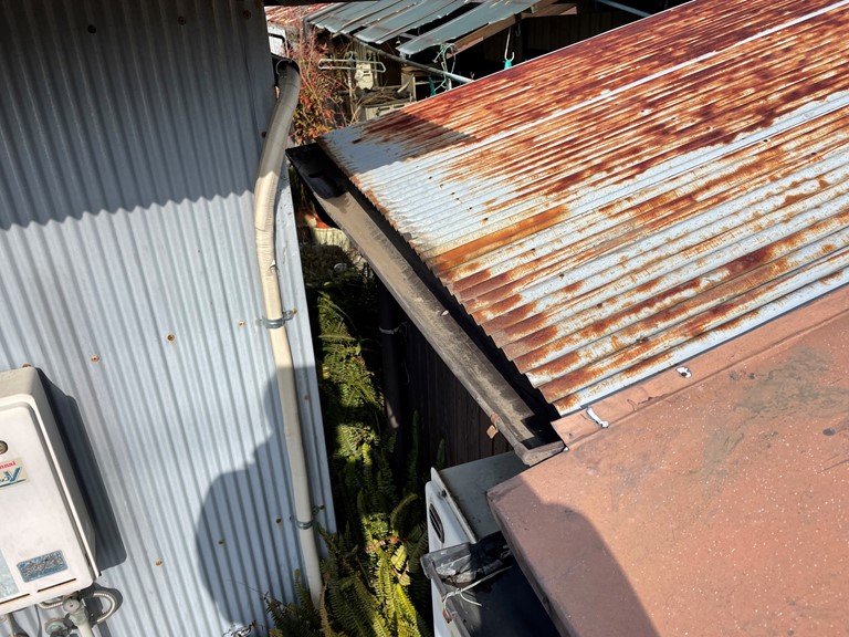 岩出市でトタン屋根の雨樋掃除を行いました