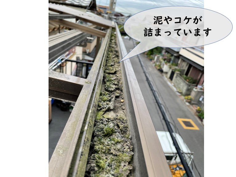 岩出市でベランダ屋根の樋に泥やコケが詰まっていました