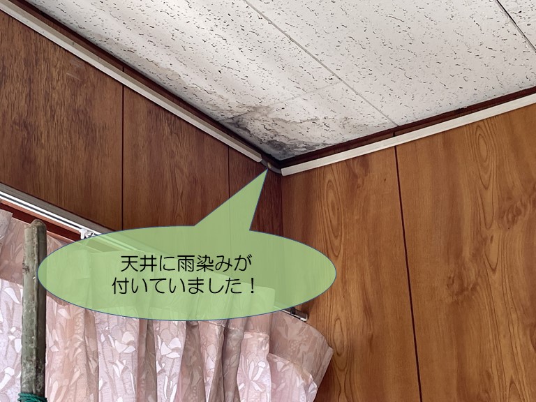 岩出市で天井に雨染みが付いていました