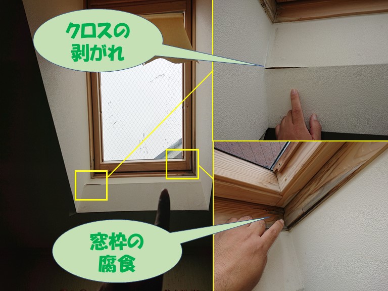 岩出市で天窓から雨漏りしており、クロスが剥がれたり窓枠が腐食していました