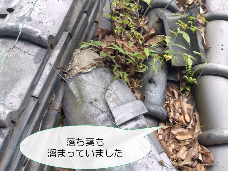 岩出市で屋根に落ち葉が溜まっていました