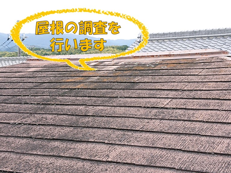 岩出市で屋根の調査を行いました