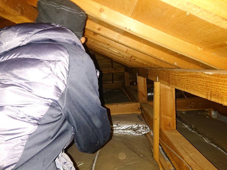 岩出市で屋根裏の雨漏り調査