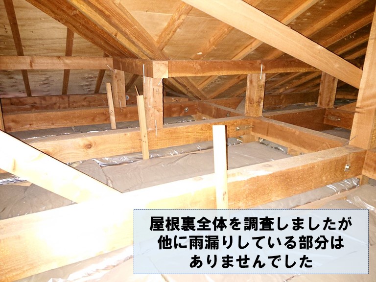 岩出市で屋根裏全体を雨漏り調査