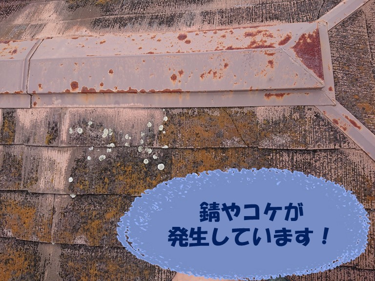 岩出市で屋根調査を行うと錆やコケが生えていました