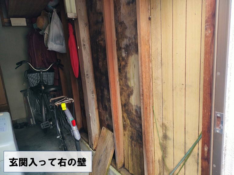 岩出市で木の壁にカビが大量発生