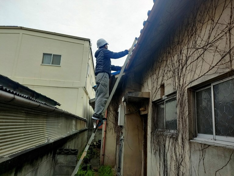 岩出市で梯子を使って平屋の調査です
