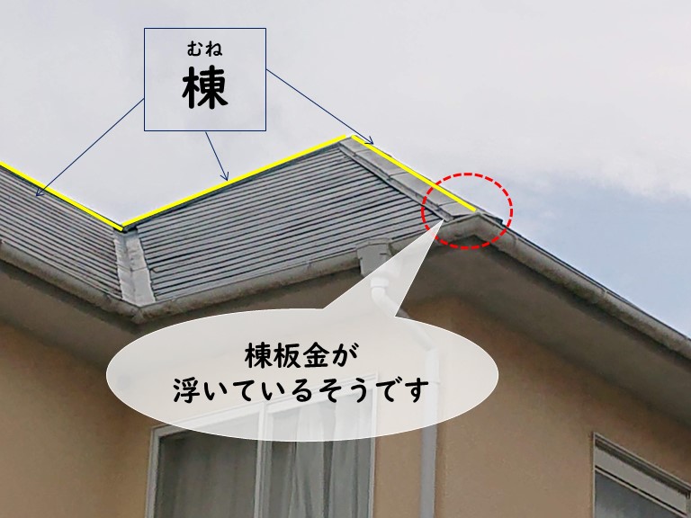 岩出市で棟板金が浮いていると聞き梯子で調査しました