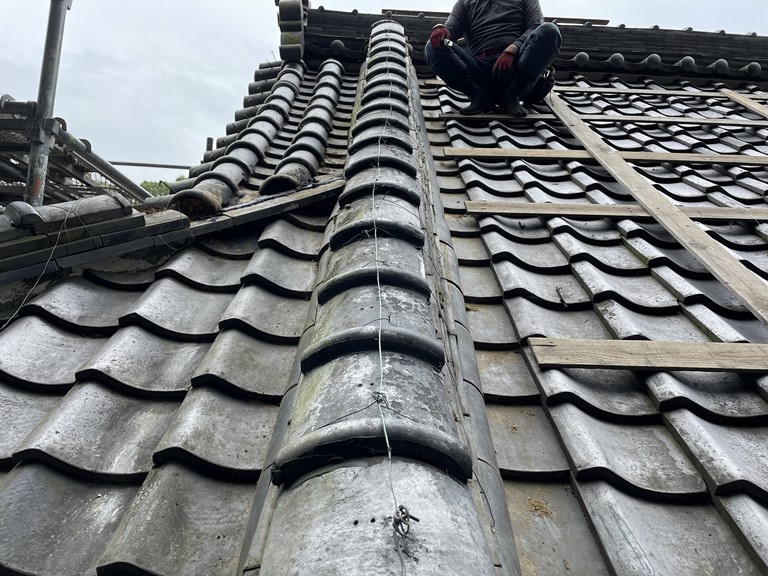 岩出市で棟瓦に発生した植物を撤去し、復旧しました