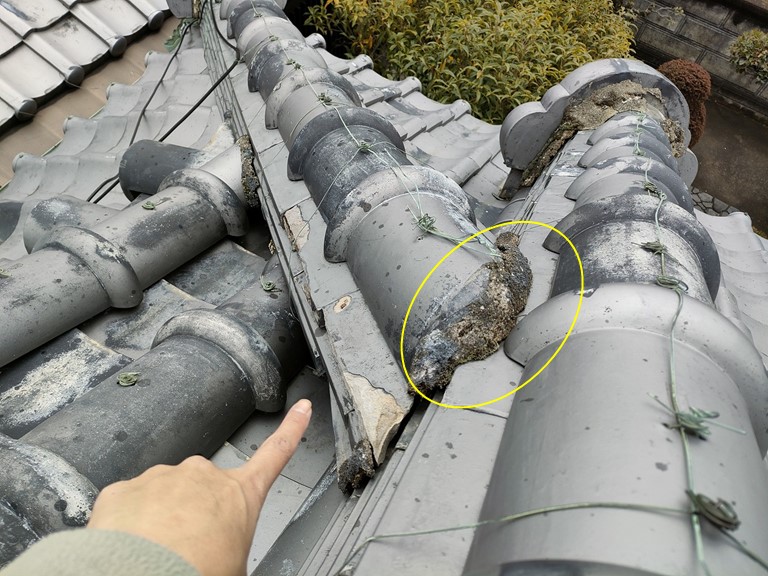 岩出市で棟瓦の取合いに詰められた漆喰も劣化していました