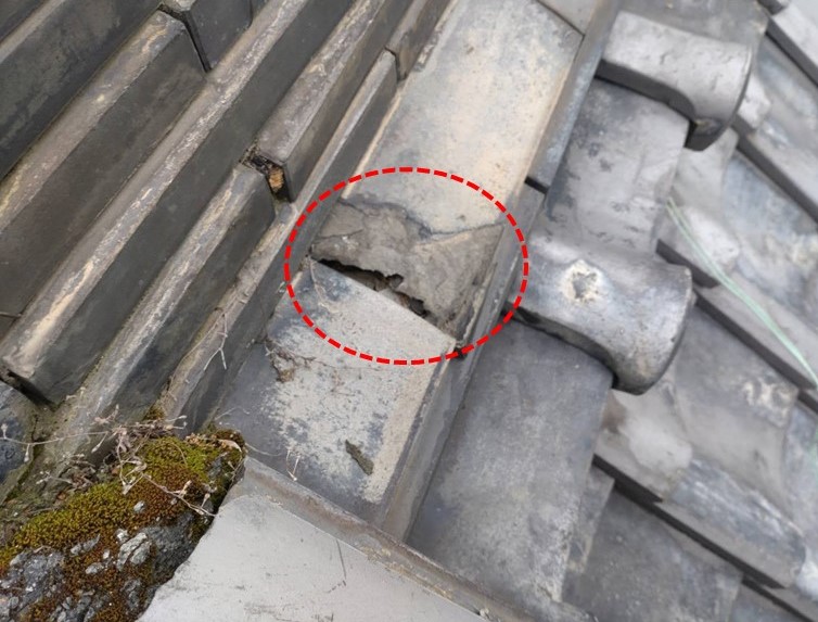 岩出市で破損した瓦が数枚ありました
