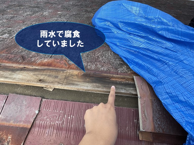 岩出市で貫板が雨水で腐食していた