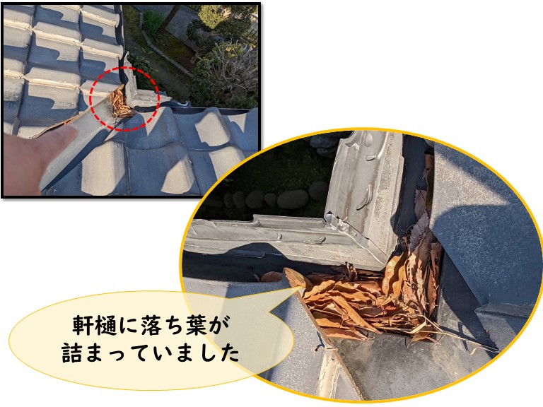 岩出市で軒樋に落ち葉が溜まっていました