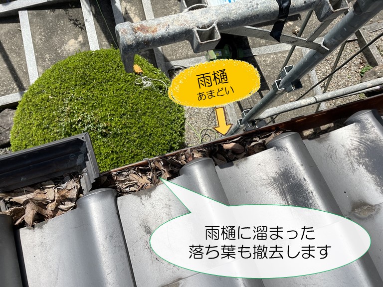 岩出市で雨樋に溜まった落ち葉も清掃し、詰まりを解消しました