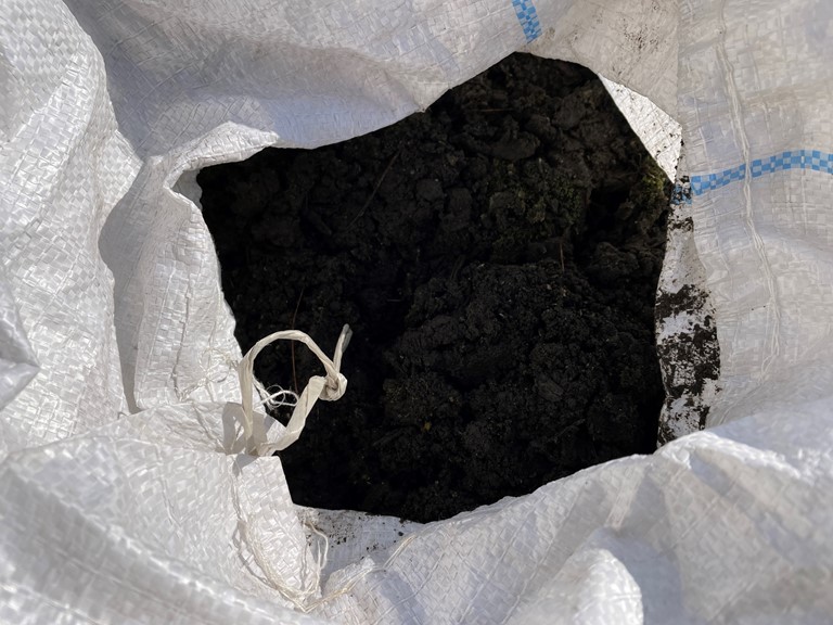 岩出市で雨樋清掃が完了し、泥は撤去します