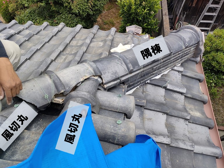 岩出市で雨漏りしている場所を調査します