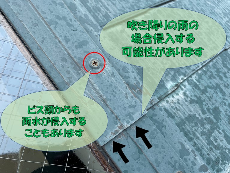 岩出市の天窓を固定しているビス頭や水切りの取合いから雨水が浸透する可能性があります