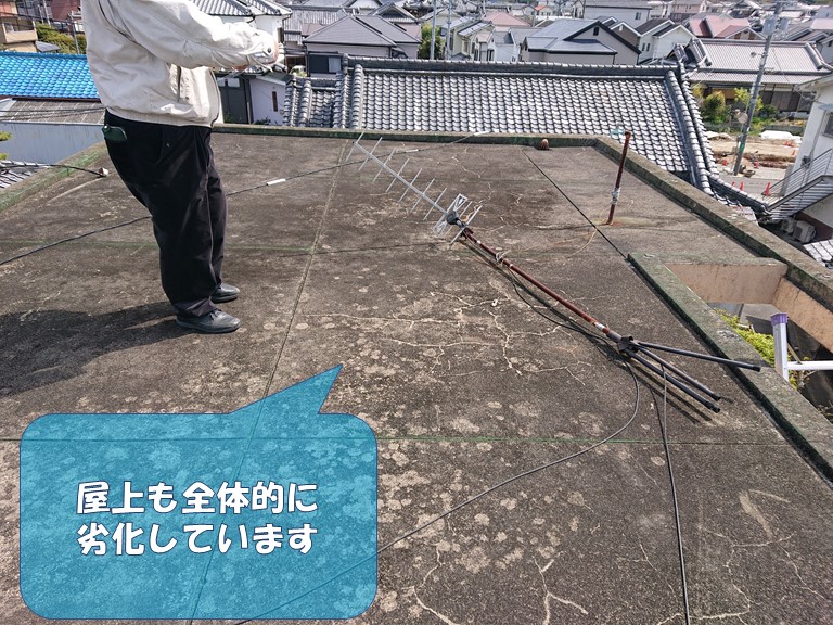 岩出市の屋上全体劣化しています