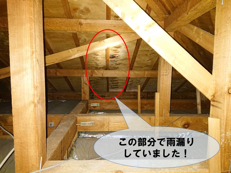 岩出市の屋根裏で雨漏り
