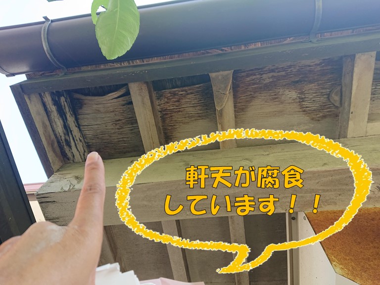 岩出市の屋根調査で軒天が腐食していました