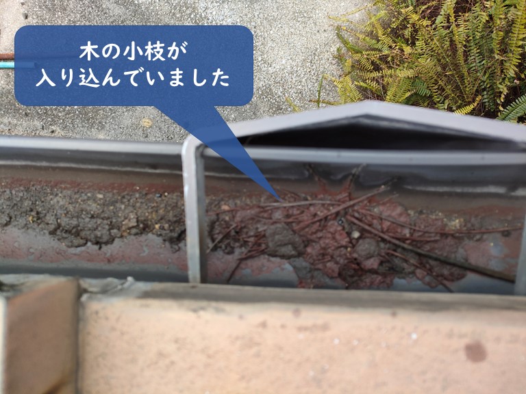 岩出市の軒樋に小枝や土が溜まっていた