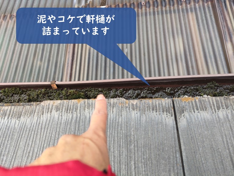岩出市の軒樋に泥やコケが溜まってました