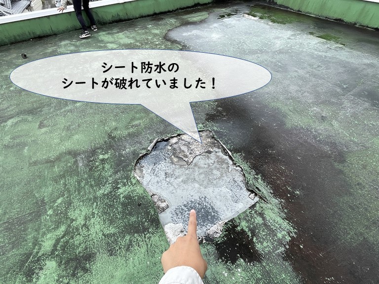 岩出市の陸屋根のシートが破れてた