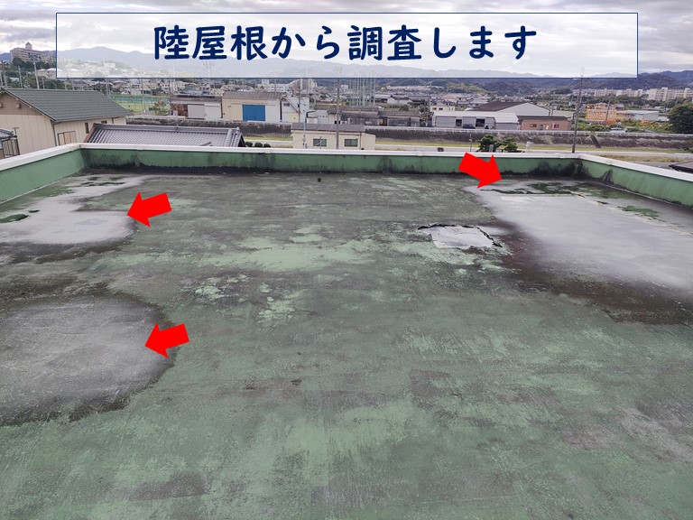 岩出市の陸屋根を調査