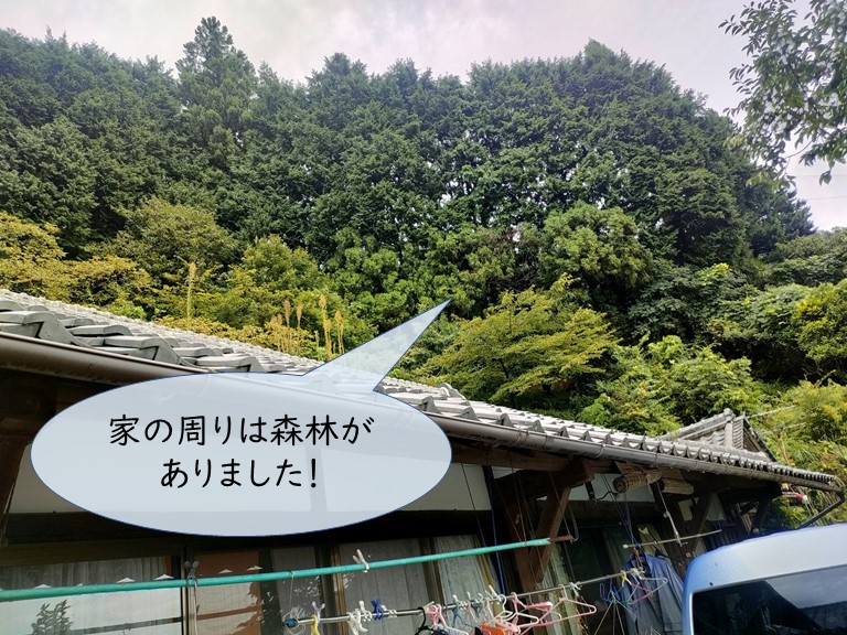 紀の川市、周囲に森林があると屋根に雑草が生えやすくなります